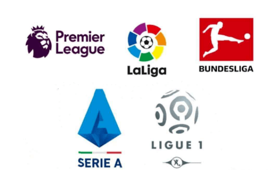 他不仅能对 他不仅能对